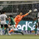 Gregore da Silva (i) de Botafogo anota un gol en un partido del Brasileirao serie A. EFE/ Isaac Fontana