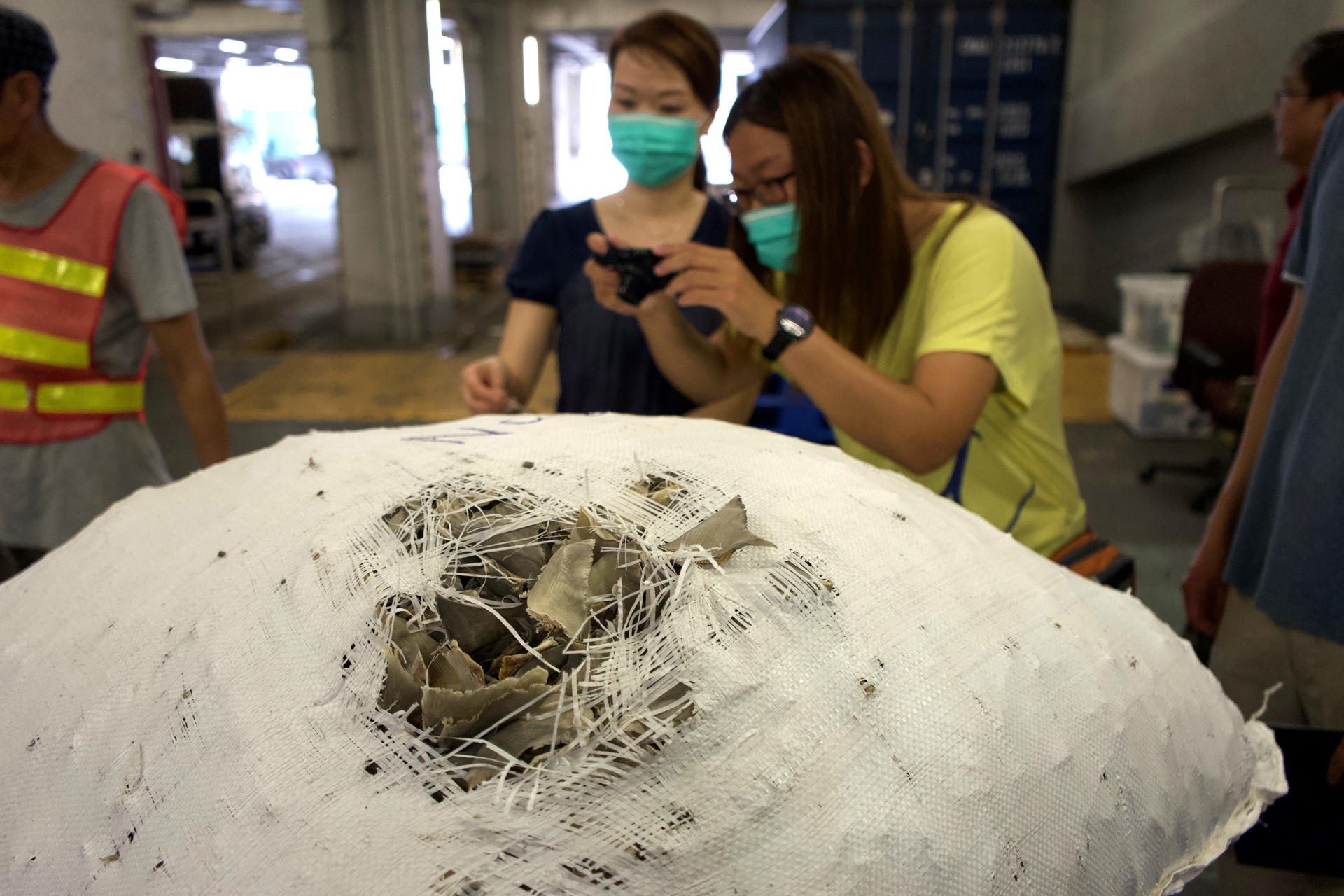 Fotografía cedida por la Universidad Internacional de Florida (FIU) de una bolsa con aletas de tiburón secas en un mercado de Hong Kong. EFE/ Diego Cardeñosa / Universidad Internacional de Florida / SOLO USO EDITORIAL/ SOLO DISPONIBLE PARA ILUSTRAR LA NOTICIA QUE ACOMPAÑA (CRÉDITO OBLIGATORIO)
