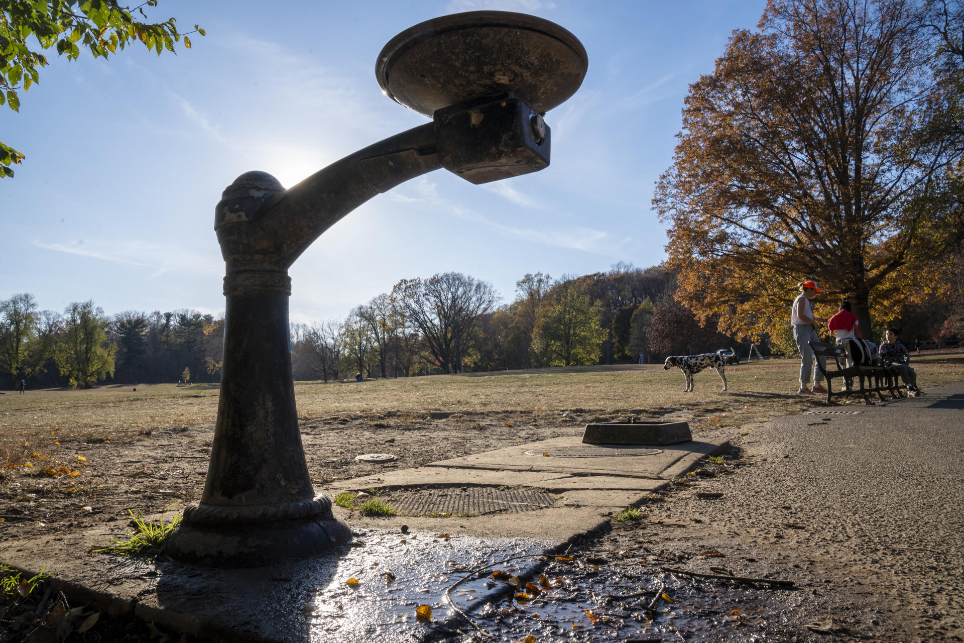 Personas conversan este lunes en el Prospect Park de Brooklyn, en Nueva York (Estados Unidos). EFE/ Ángel Colmenares
