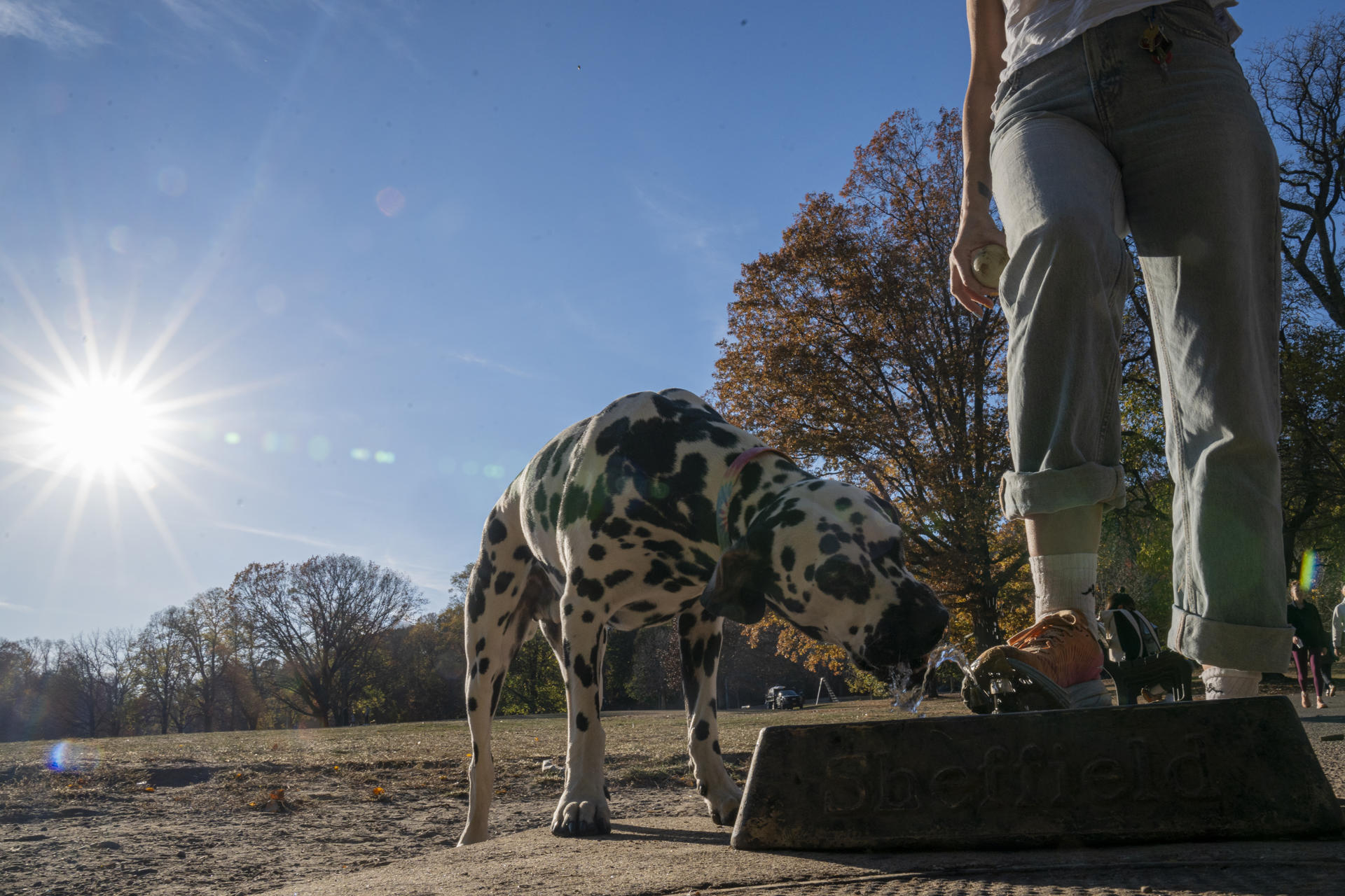 Una persona pulsa el botón de agua para mascotas este lunes, en el Prospect Park de Brooklyn, en Nueva York (Estados Unidos). EFE/ Ángel Colmenares
