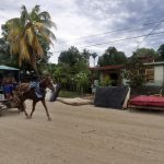 Un hombre transita en una carretilla por una calle en la región de San Antonio del Sur tras el paso de la tormenta tropical Óscar, en la provincia de Guantánamo, a más de 900 km de La Habana (Cuba). Imagen de archivo. EFE/ Ernesto Mastrascusa POOL