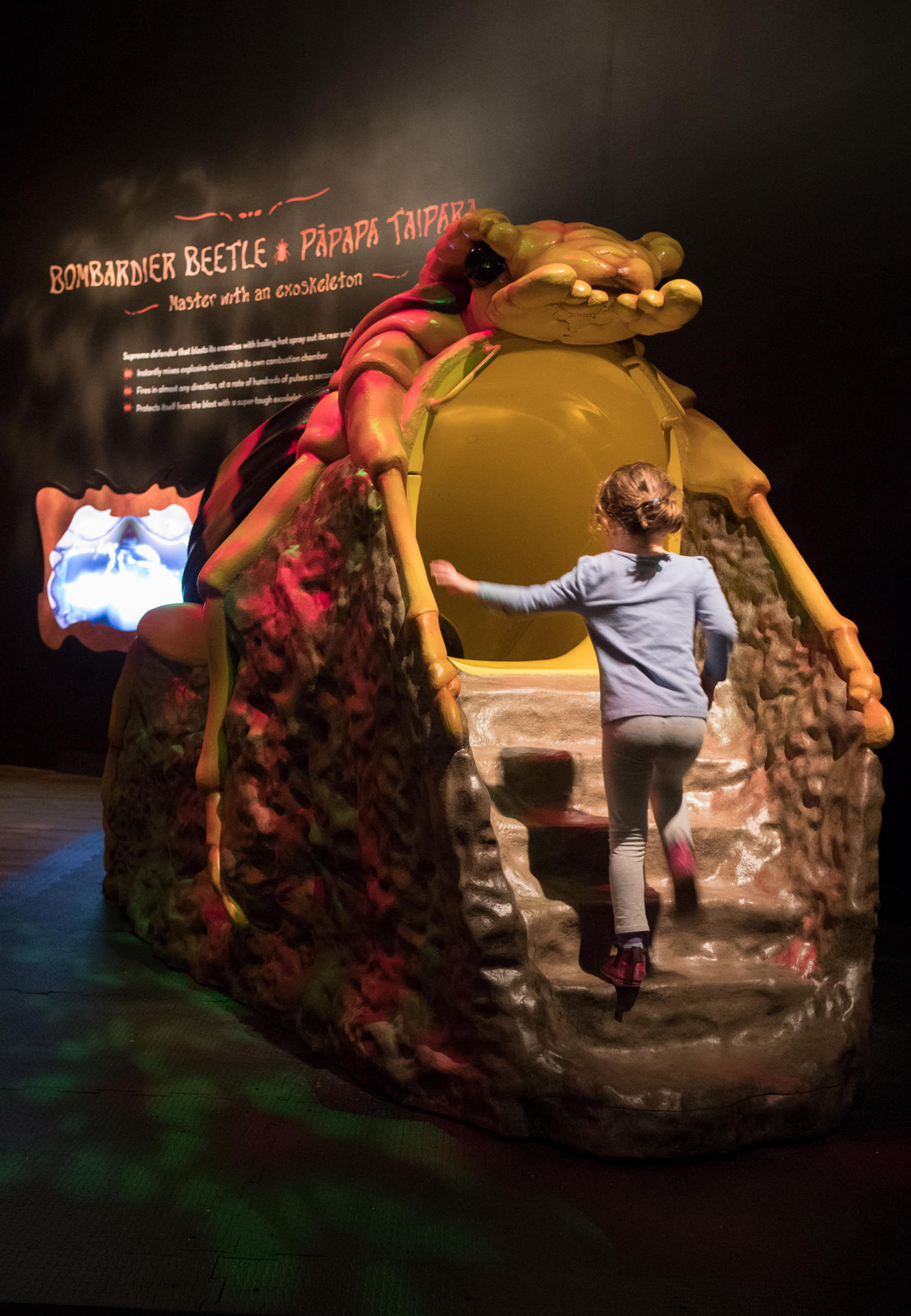 Fotografía cedida por Frost Science de una niña entrando en la boca de un insecto durante la exhibición cinematográfica e inmersiva 'Bugs', en el Museo de Ciencia Phillip y Patricia Frost de Miami, Florida (Estados Unidos). EFE/ Frost Science / SOLO USO EDITORIAL/ SOLO DISPONIBLE PARA ILUSTRAR LA NOTICIA QUE ACOMPAÑA (CRÉDITO OBLIGATORIO)
