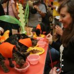 Fotografía de archivo del 17 de agosto de 2004 donde aparece una mujer observando a su gato comer, durante la inauguración del primer café y restaurante para gatos 'Meow Mix' en Nueva York (EE.UU.). EFE/Miguel Rajmil