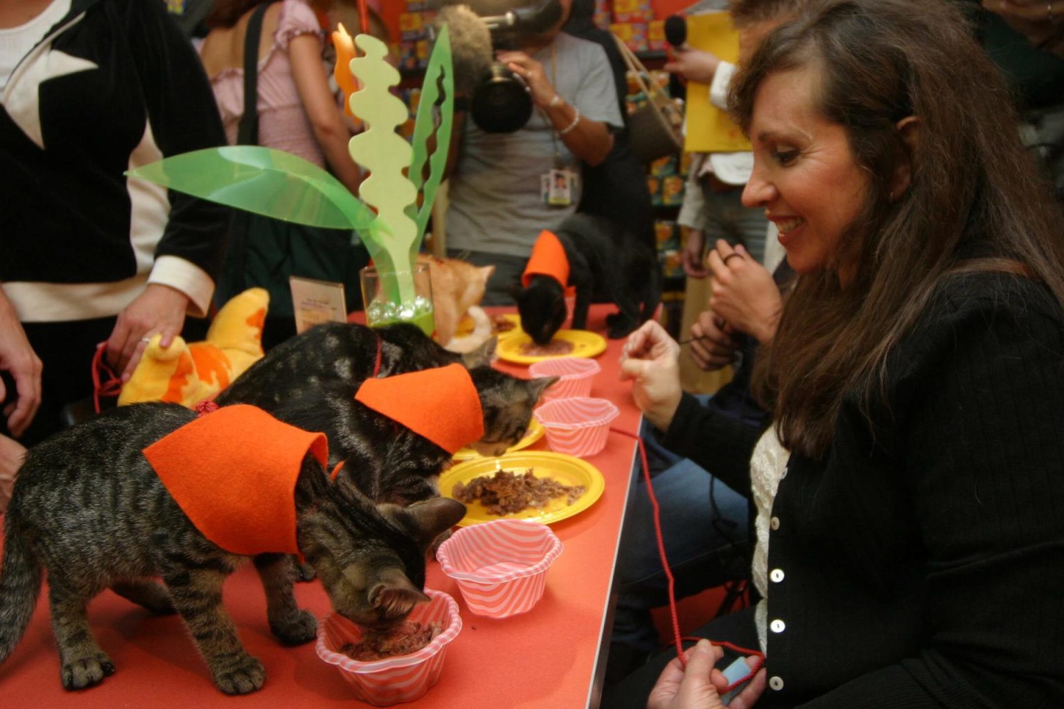 Fotografía de archivo del 17 de agosto de 2004 donde aparece una mujer observando a su gato comer, durante la inauguración del primer café y restaurante para gatos 'Meow Mix' en Nueva York (EE.UU.). EFE/Miguel Rajmil