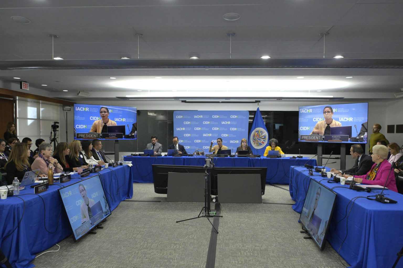 La presidenta de la Comisión Interamericana de Derechos Humanos (CIDH), Roberta Clark (c), habla durante una audiencia de la Comisión Interamericana de Derechos Humanos (CIDH), este martes en la sede del organismo en Washington (Estados Unidos). EFE/ Lenin Nolly