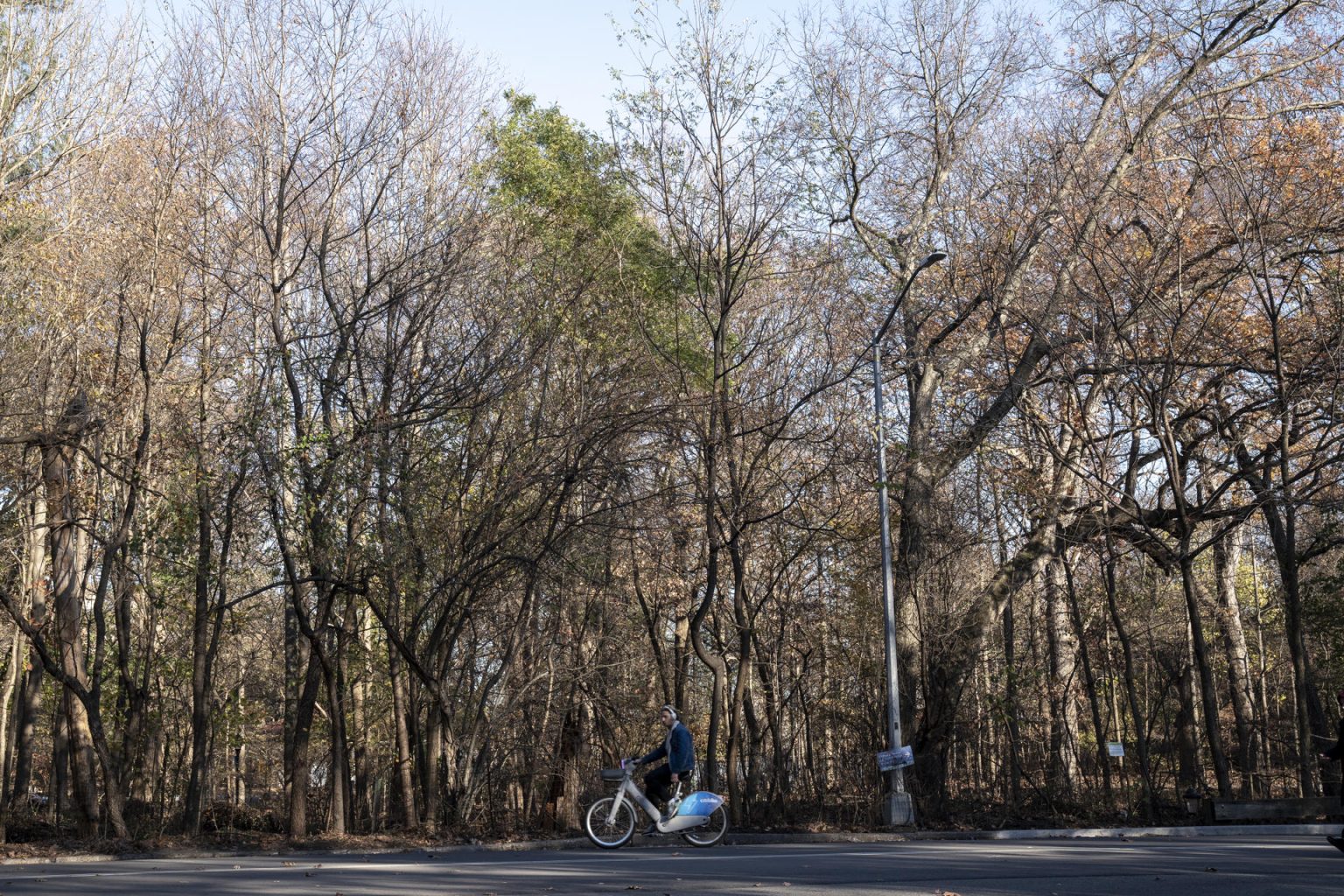 Una persona pasea en bicicleta este lunes en el Prospect Park de Brooklyn en Nueva York (Estados Unidos). EFE/ Ángel Colmenares