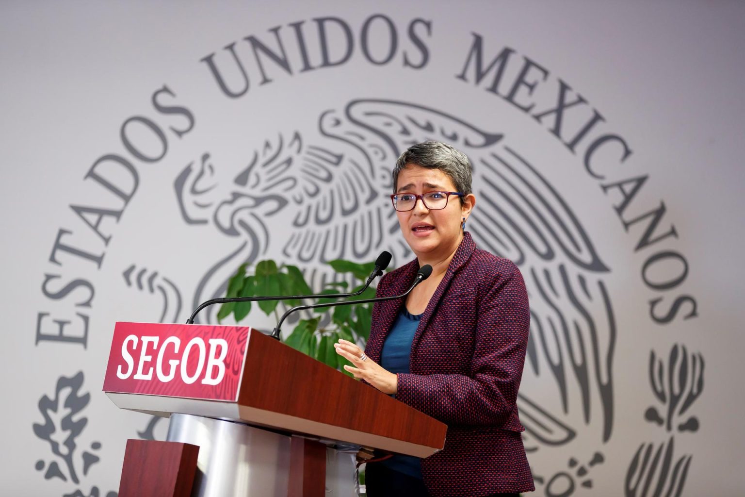 Fotografía de archivo del 28 de mayo de 2019 donde aparece la entonces titular de la Comisión Nacional de Búsqueda de Personas en México, Karla Quintana, durante una rueda de prensa celebrada en Ciudad de México (México). EFE/ José Méndez