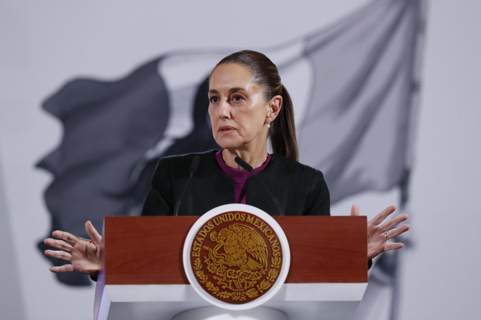 La presidenta de México, Claudia Sheinbaum, habla en una rueda de prensa este miércoles, en Palacio Nacional de la Ciudad de México (México). EFE/Mario Guzmán