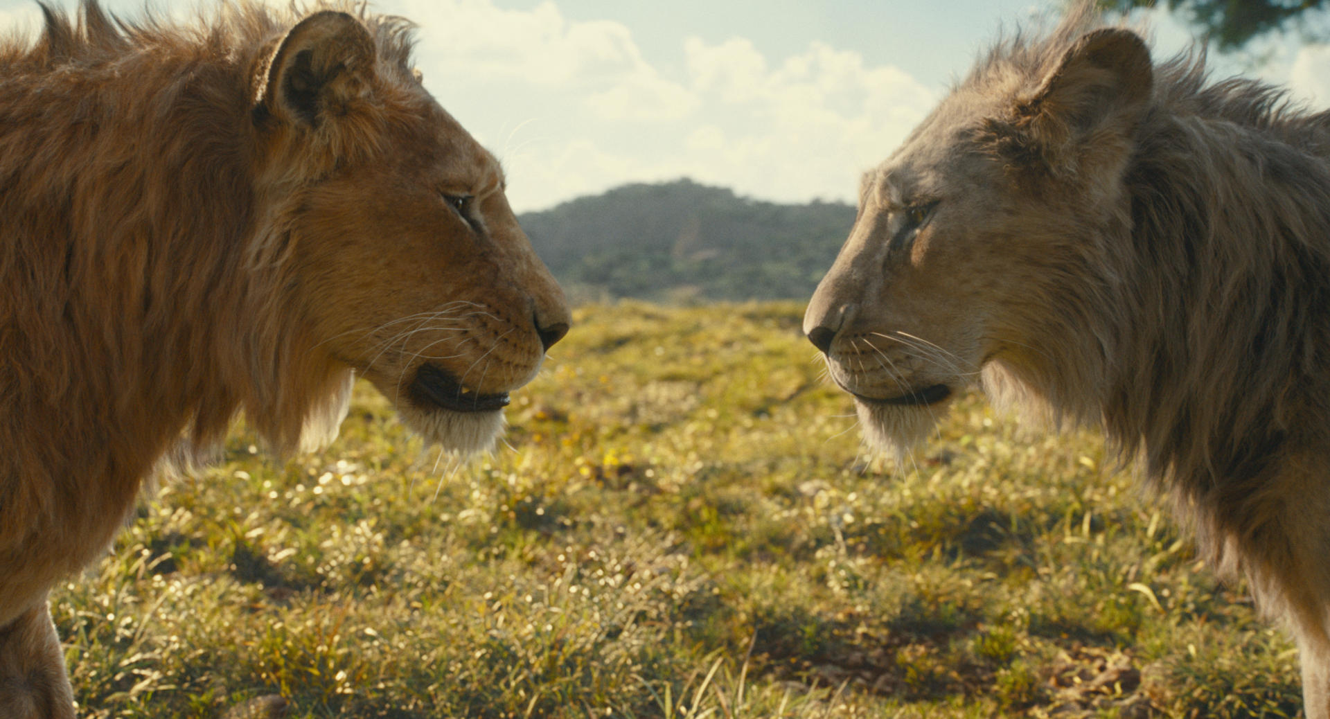 Fotograma cedido por Disney Enterprises que muestra a Mufasa (i), con la voz de Aaron Pierre, y Taka, con la voz de Kelvin Harrison Jr., durante una escena de la película animada 'Mufasa: The Lion King'. EFE/ Disney Enterprises / SOLO USO EDITORIAL/ SOLO DISPONIBLE PARA ILUSTRAR LA NOTICIA QUE ACOMPAÑA (CRÉDITO OBLIGATORIO)
