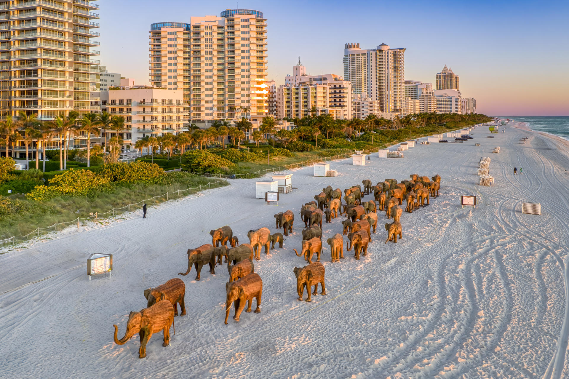 Fotografía cedida por Lee Smith donde se muestra la instalación 'The Great Elephant Migration', un conjunto de esculturas de elefantes indios a tamaño natural puestos en la playa de Miami Beach, Florida (Estados Unidos). EFE/Lee Smith /SOLO USO EDITORIAL /NO VENTAS /SOLO DISPONIBLE PARA ILUSTRAR LA NOTICIA QUE ACOMPAÑA /CRÉDITO OBLIGATORIO
