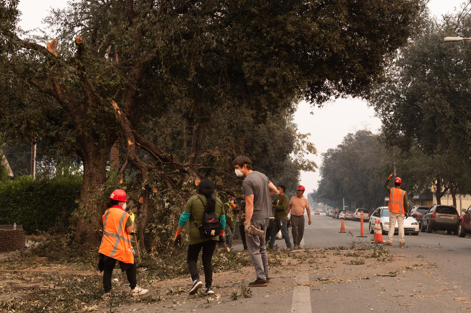 Jornaleros indocumentados remueven un árbol caído este miércoles en Pasadena (Estados Unidos). EFE/ Ana Milena Varón
