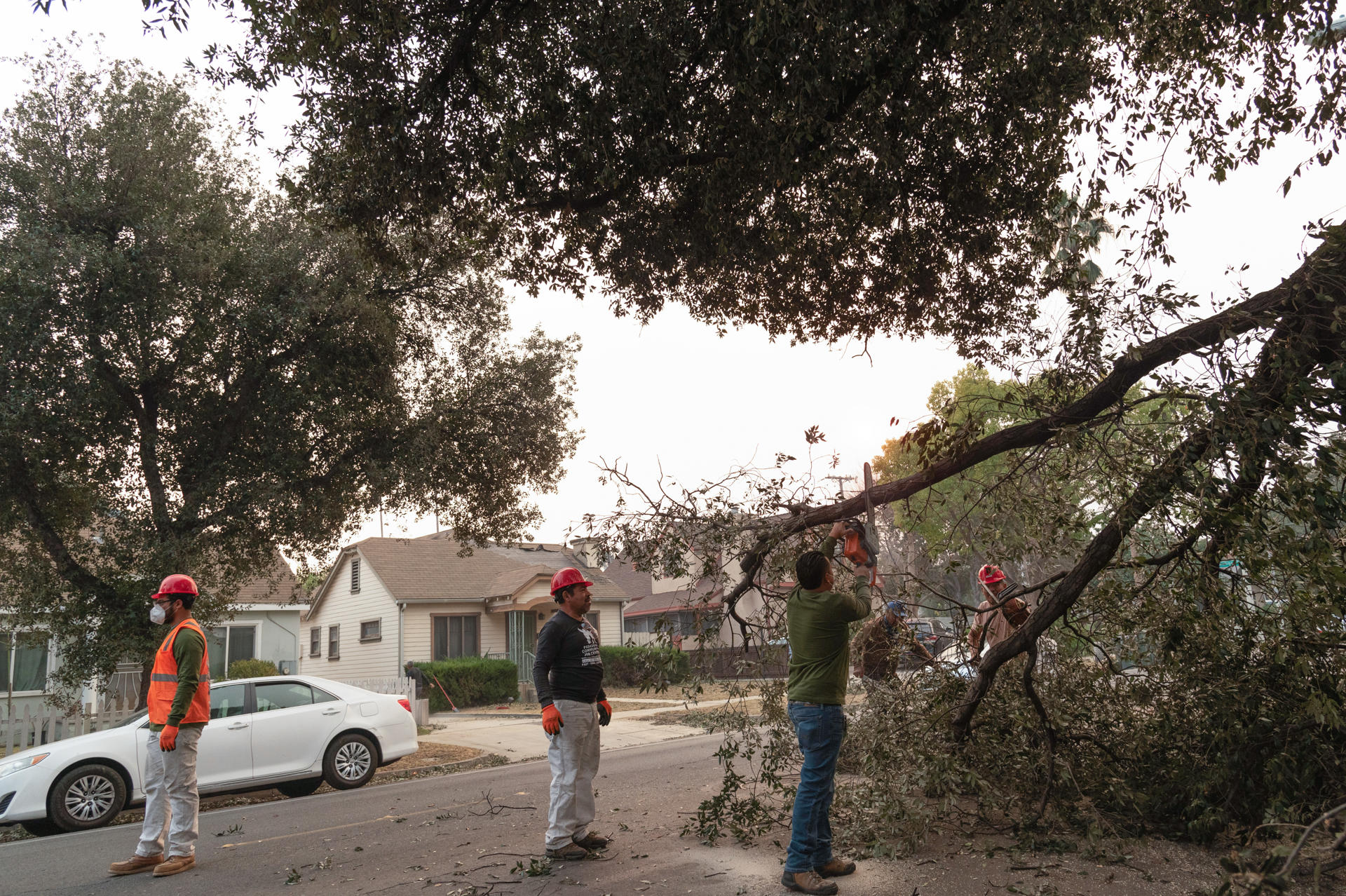 Jornaleros indocumentados remueven un árbol caído este miércoles en Pasadena (Estados Unidos).EFE/ Ana Milena Varón
