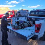 Fotografía tomada de la cuenta oficial de la red social X del jefe del sector Tucson de la Patrulla Fronteriza de los EE.UU. @USBP Chief TCA donde se observa a un agente mientras atiende a una mujer migrante que fue empujada por 'coyotes' en el muro fronterizo de Nogales (Estados Unidos). EFE/USBP Chief TCA /SOLO USO EDITORIAL /NO VENTAS /SOLO DISPONIBLE PARA ILUSTRAR LA NOTICIA QUE ACOMPAÑA /CRÉDITO OBLIGATORIO