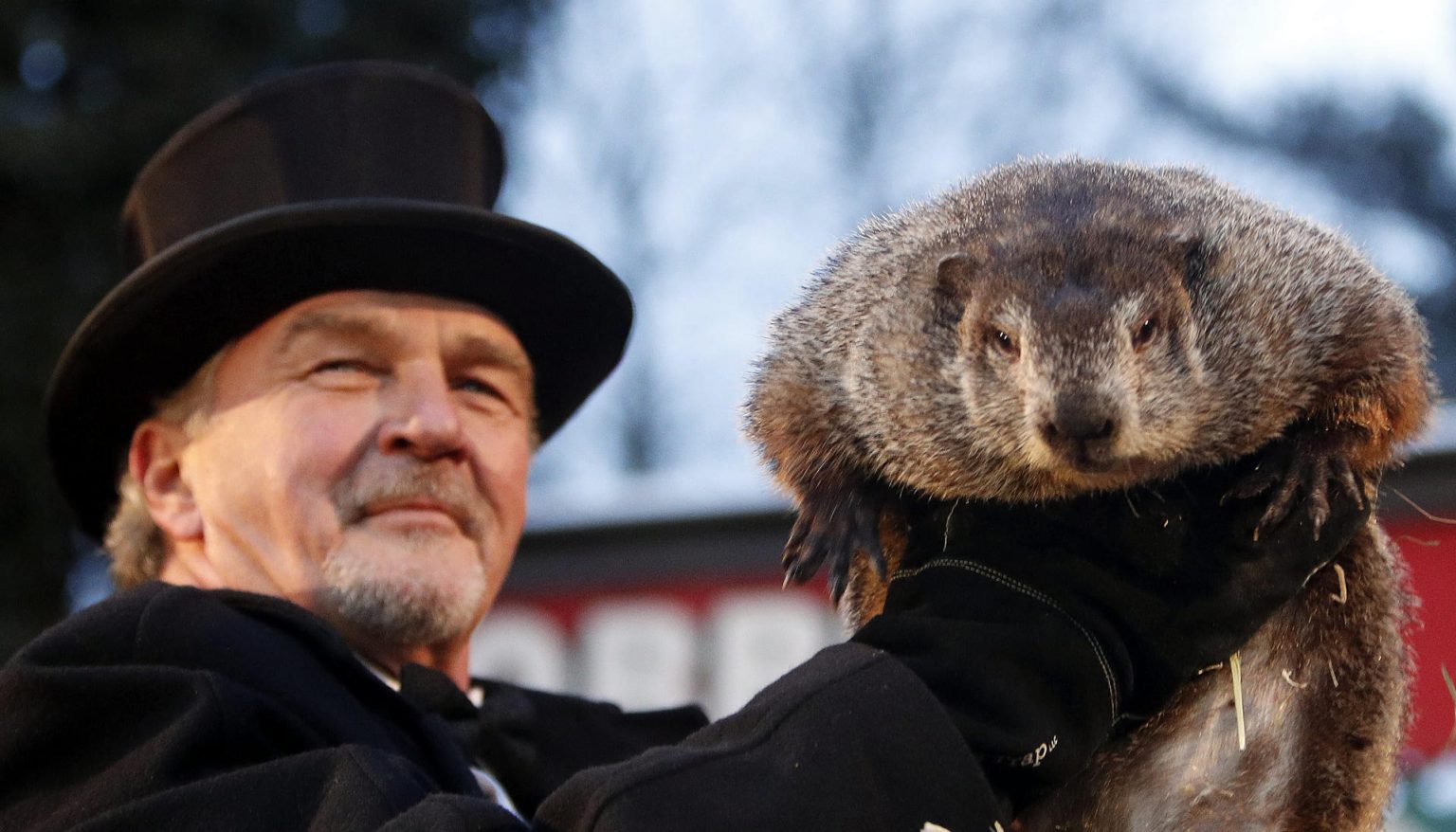 Fotografía de archivo del 2 de febrero de 2017 de un miembro del Club de la Marmota sostieniendo a la marmota Phil, el animal meteorólogo más famoso del mundo, durante la celebración del Día de la Marmota en la pequeña colina de Gobbler's Knob en Punxsutawney, Pensilvania (Estados Unidos). EFE/ David Maxwell