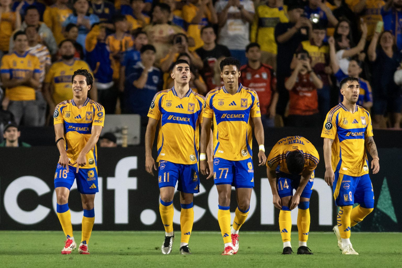 Los Tigres UANL mexicanos recibirán este martes al Cincinnati de la MLS en un partido de pronóstico reservado que decidirá la suerte de ambos cuadros en la Copa de campeones de la Concacaf. Archivo. EFE/ Miguel Sierra