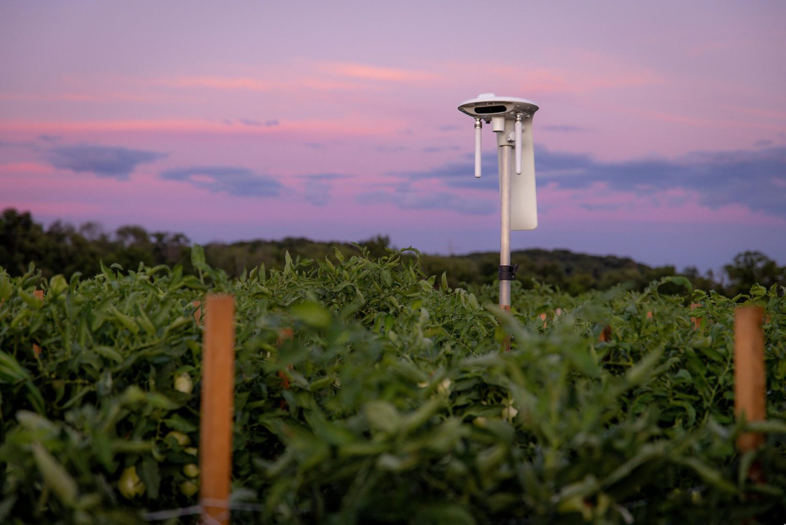 Fotografía cedida por Arable México que muestra un dispositivo Mark 3 que ofrece una visión integral del balance hídrico del campo al combinar mediciones climáticas con datos de riego. EFE/ Arable México /SOLO USO EDITORIAL NO VENTAS/SOLO DISPONIBLE PARA ILUSTRAR LA NOTICIA QUE ACOMPAÑA (CRÉDITO OBLIGATORIO)