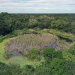 Fotografía cedida por el arqueólogo e historiador español Xavier Sicart donde se observa un pantano en la zona arqueológica X’baatún, en el municipio Tekal de Venegas, en Yucatán (México). EFE/ Xavier Sicart / SOLO USO EDITORIAL/ SOLO DISPONIBLE PARA ILUSTRAR LA NOTICIA QUE ACOMPAÑA (CRÉDITO OBLIGATORIO)