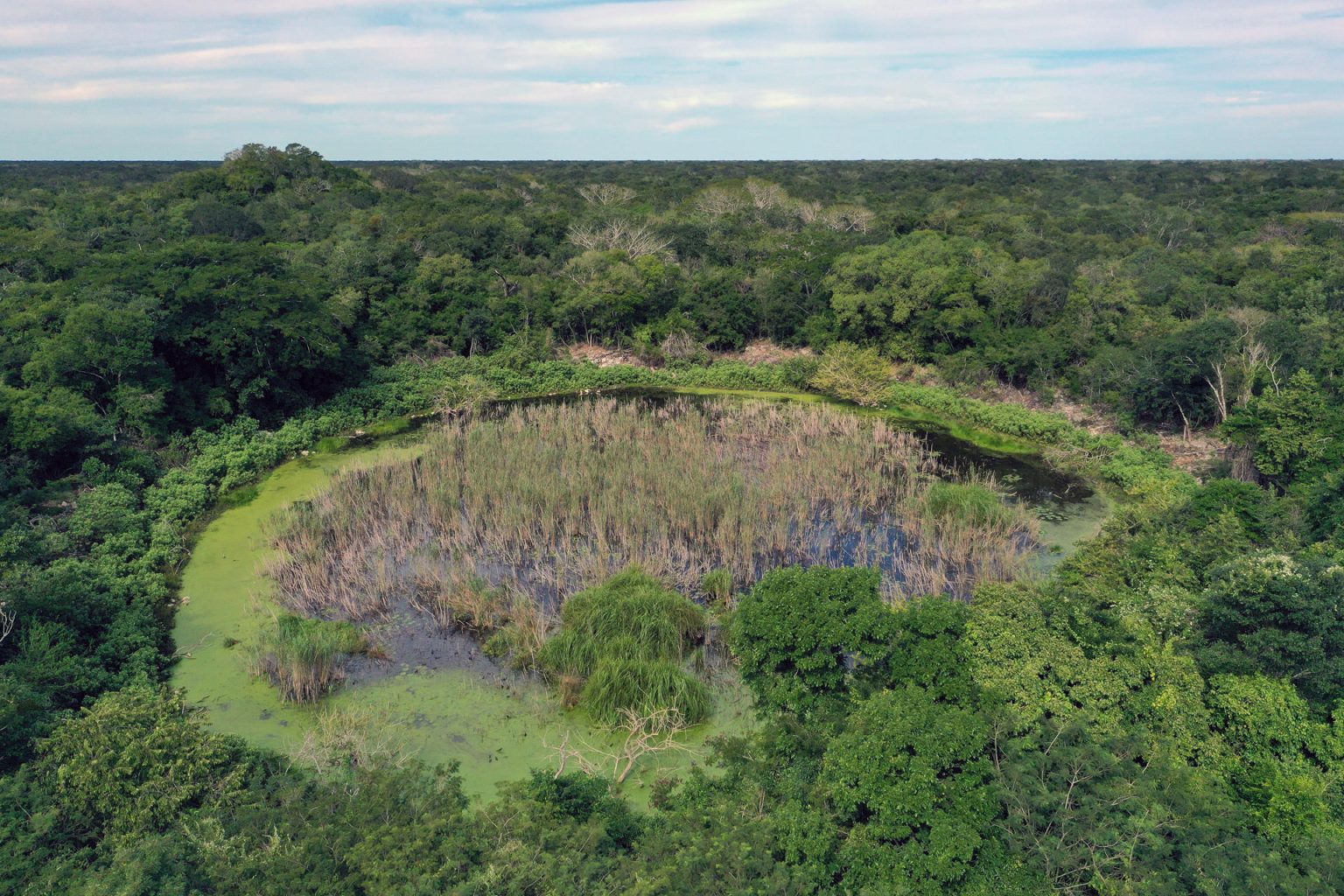 Fotografía cedida por el arqueólogo e historiador español Xavier Sicart donde se observa un pantano en la zona arqueológica X’baatún, en el municipio Tekal de Venegas, en Yucatán (México). EFE/ Xavier Sicart / SOLO USO EDITORIAL/ SOLO DISPONIBLE PARA ILUSTRAR LA NOTICIA QUE ACOMPAÑA (CRÉDITO OBLIGATORIO)