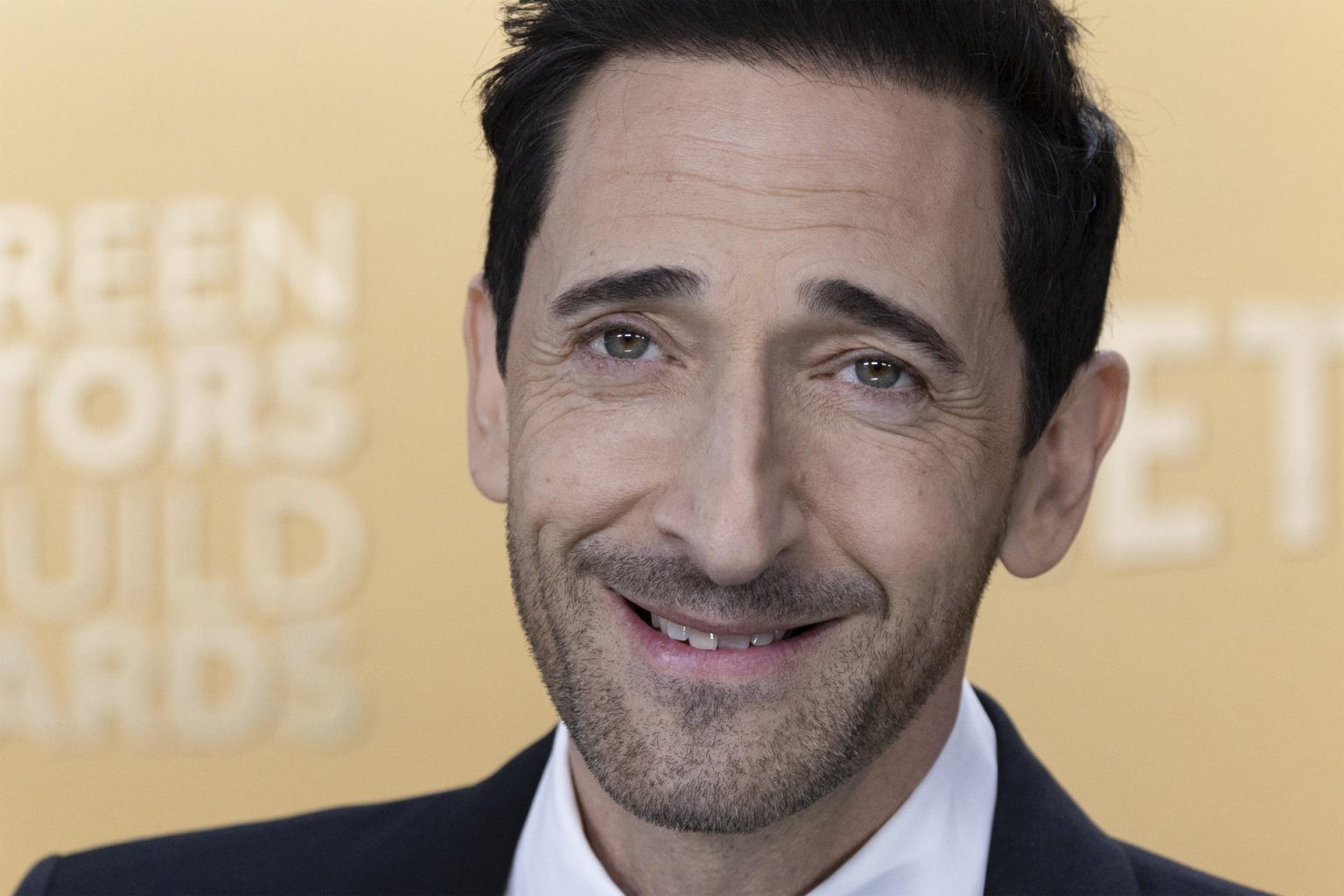 Fotografía de archivo donde aparece el actor estadounidense Adrien Brody. EFE/ Armando Arorizo