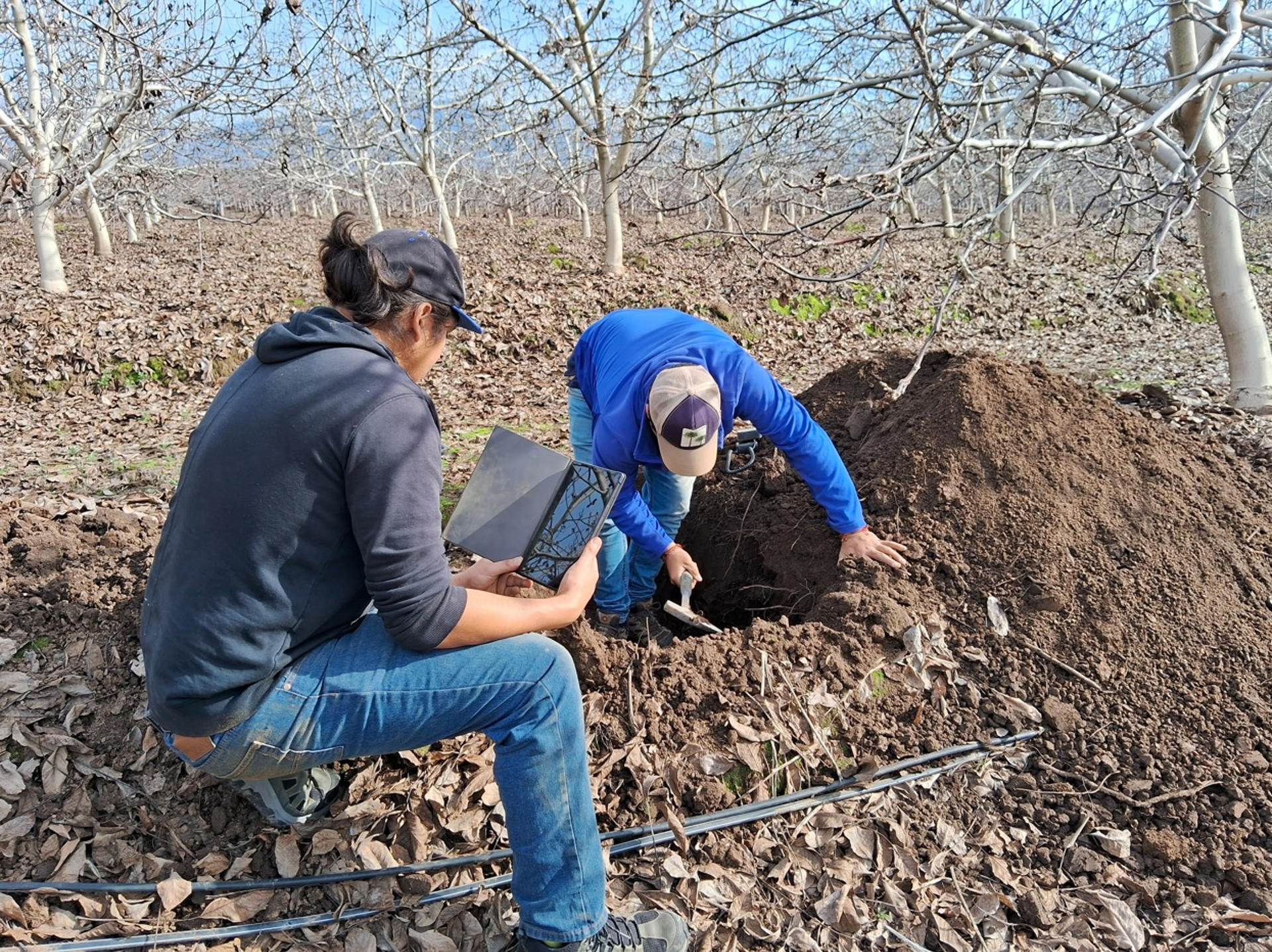 Fotografía cedida por Kilimo Chile que muestra integrantes del grupo de Kilimo Chile observando un cultivo. América Latina alberga casi un tercio de los recursos hídricos del planeta, a pesar de ello, este líquido vital es inaccesible para 166 millones de personas de la región. EFE/Kilimo Chile /SOLO USO EDITORIAL NO VENTAS/SOLO DISPONIBLE PARA ILUSTRAR LA NOTICIA QUE ACOMPAÑA (CRÉDITO OBLIGATORIO)
