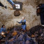 Mujeres trabajan en la destilería de tequila ‘Leyenda de México’ este sábado, en Tepatitlán (México). EFE/ Francisco Guasco