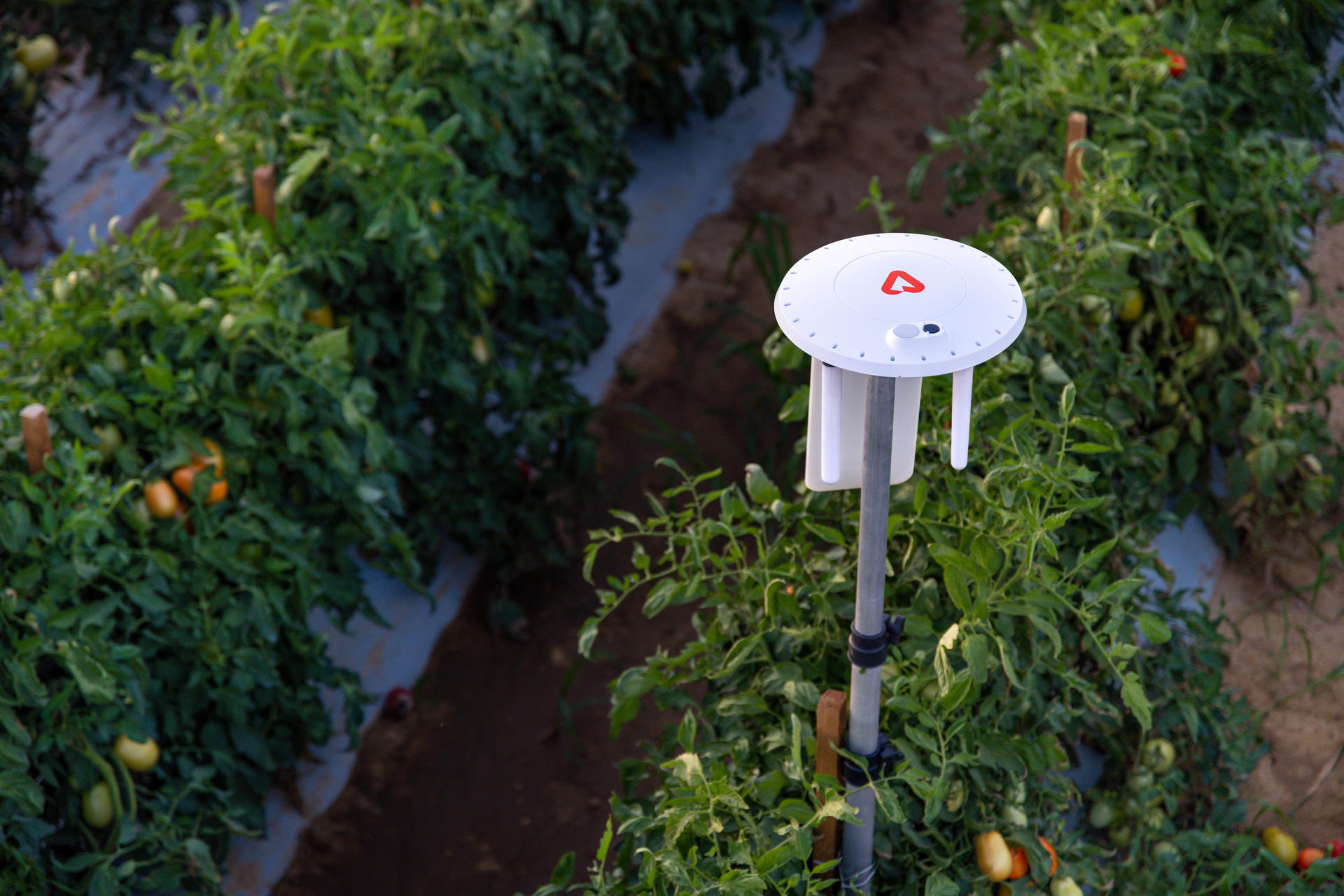 Fotografía cedida por Arable México que muestra un dispositivo Mark 3 que ofrece una visión integral del balance hídrico del campo al combinar mediciones climáticas con datos de riego. EFE/Arable México /SOLO USO EDITORIAL NO VENTAS/SOLO DISPONIBLE PARA ILUSTRAR LA NOTICIA QUE ACOMPAÑA (CRÉDITO OBLIGATORIO)
